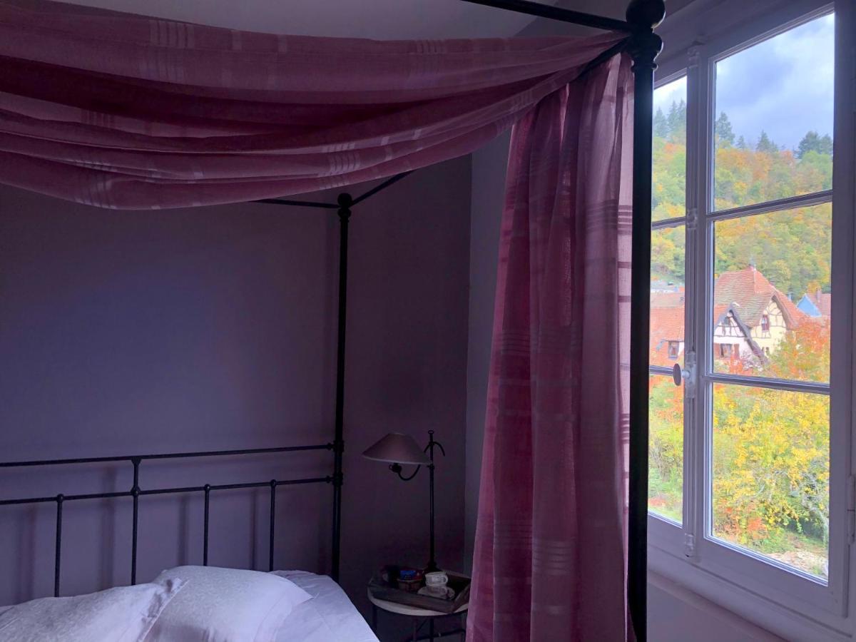 B&B La Cle D'Alsace Sainte-Marie-aux-Mines Dış mekan fotoğraf